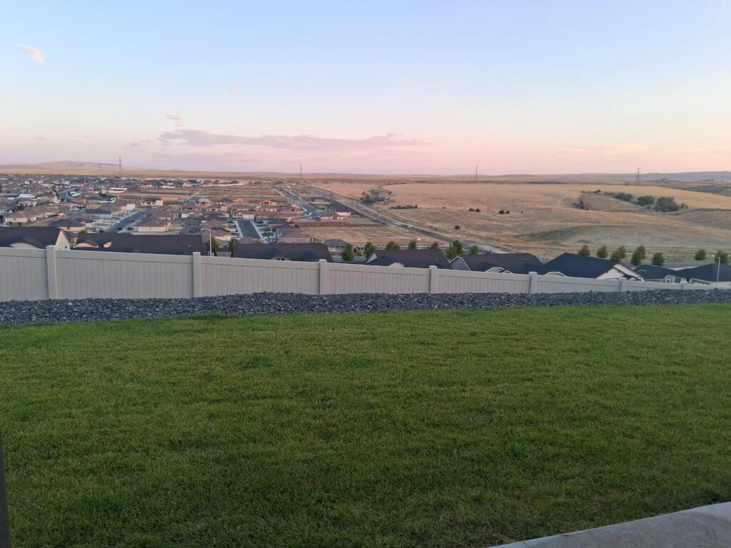 view