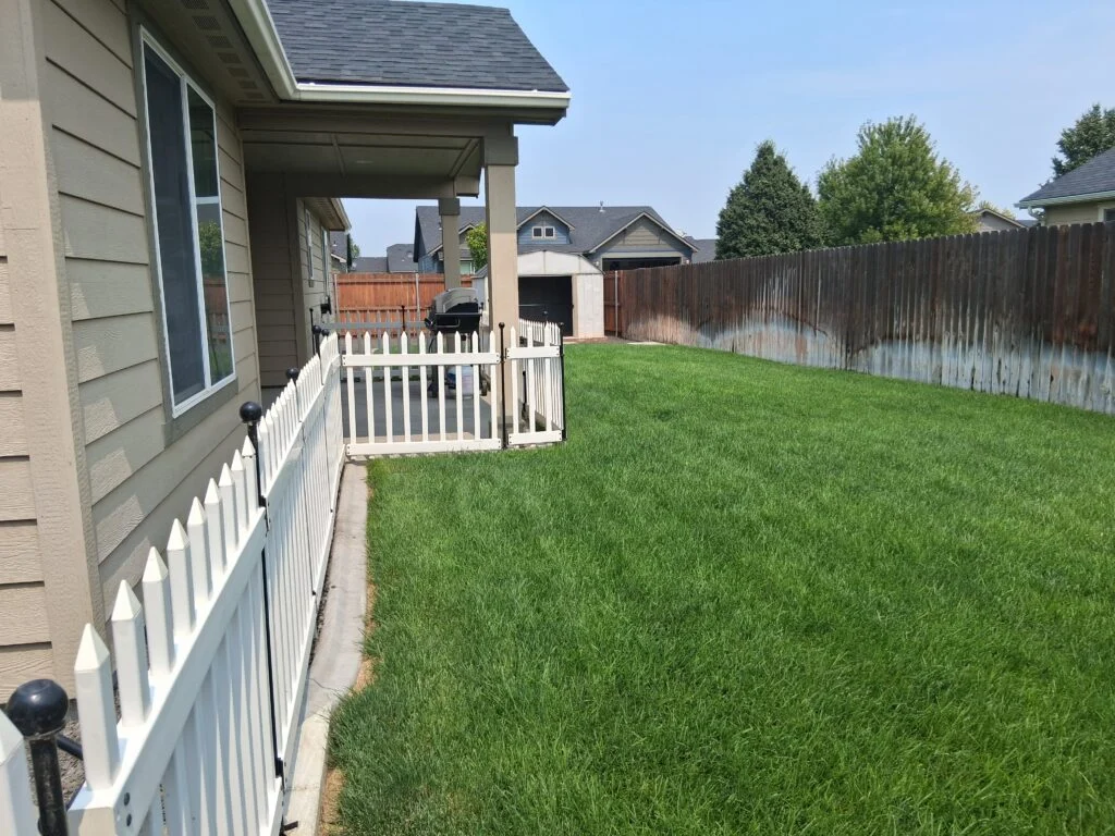 yard 4