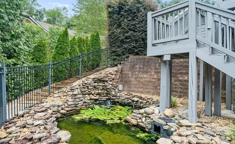 pond